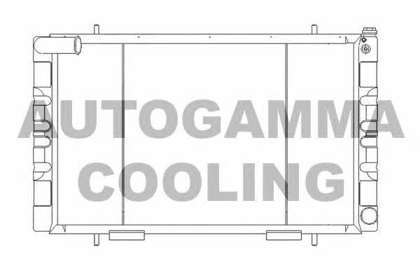Autogamma 105566 Radiator, engine cooling 105566: Buy near me in Poland at 2407.PL - Good price!