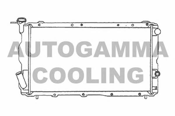 Autogamma 105568 Радіатор охолодження двигуна 105568: Приваблива ціна - Купити у Польщі на 2407.PL!