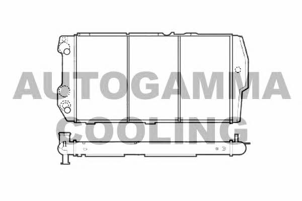 Autogamma 105571 Kühler motorkühlung 105571: Kaufen Sie zu einem guten Preis in Polen bei 2407.PL!