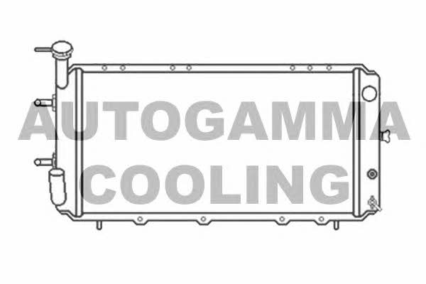 Autogamma 105576 Радиатор охлаждения двигателя 105576: Отличная цена - Купить в Польше на 2407.PL!