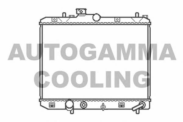 Autogamma 105607 Радиатор охлаждения двигателя 105607: Отличная цена - Купить в Польше на 2407.PL!