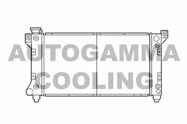Autogamma 103135 Kühler motorkühlung 103135: Kaufen Sie zu einem guten Preis in Polen bei 2407.PL!