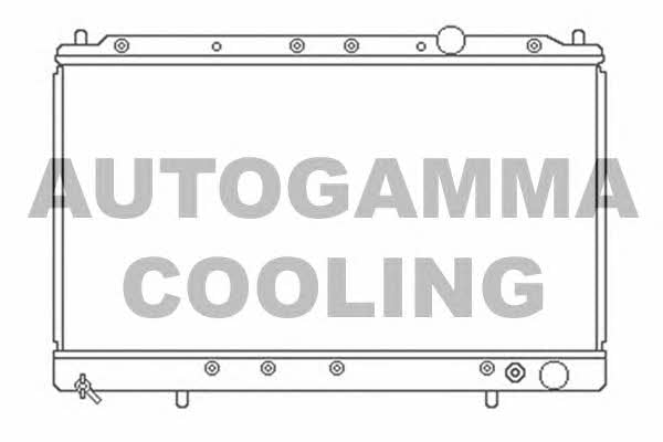 Autogamma 103162 Радіатор охолодження двигуна 103162: Купити у Польщі - Добра ціна на 2407.PL!