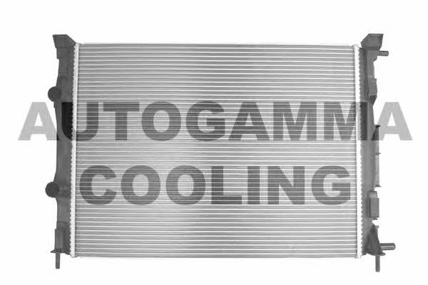 Autogamma 103220 Радіатор охолодження двигуна 103220: Приваблива ціна - Купити у Польщі на 2407.PL!