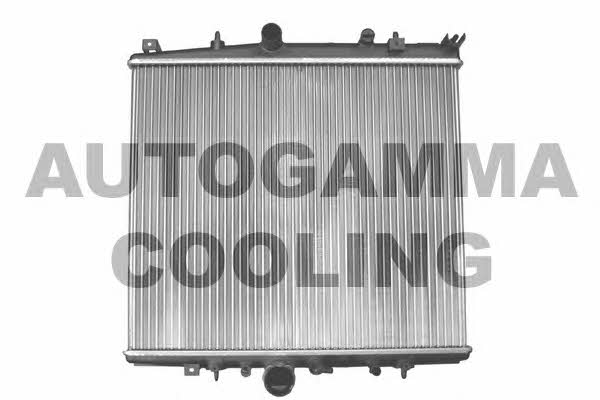 Autogamma 103221 Радіатор охолодження двигуна 103221: Приваблива ціна - Купити у Польщі на 2407.PL!