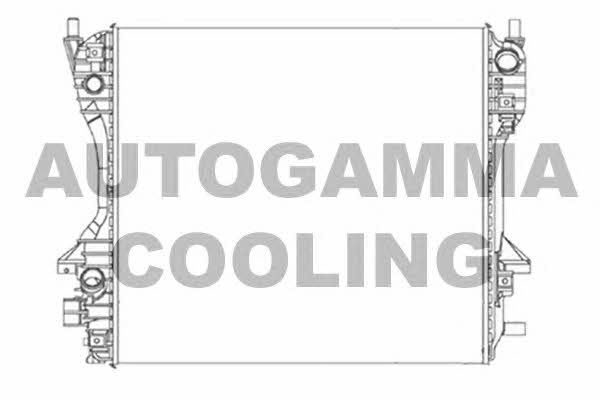 Autogamma 104650 Радиатор охлаждения двигателя 104650: Отличная цена - Купить в Польше на 2407.PL!