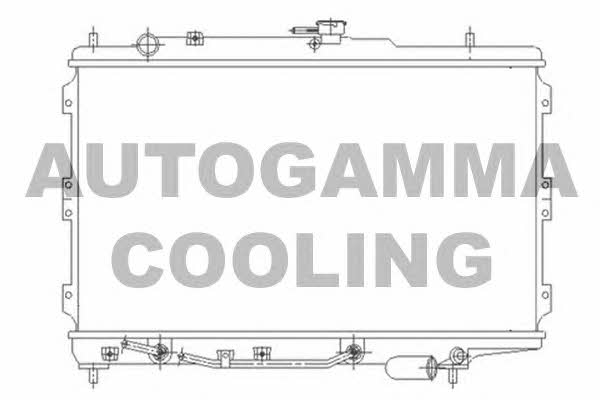 Autogamma 104659 Chłodnica, układ chłodzenia silnika 104659: Dobra cena w Polsce na 2407.PL - Kup Teraz!