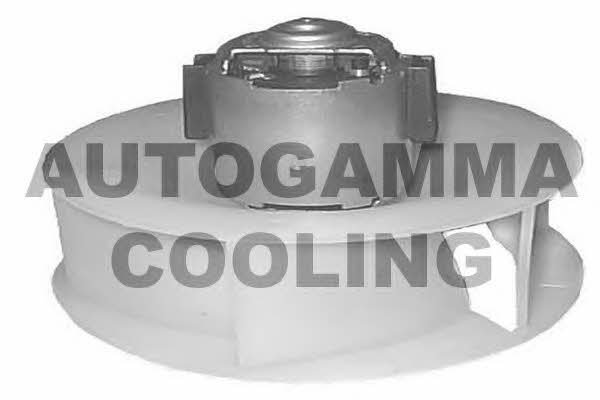 Autogamma GA20150 Fan assy - heater motor GA20150: Buy near me at 2407.PL in Poland at an Affordable price!