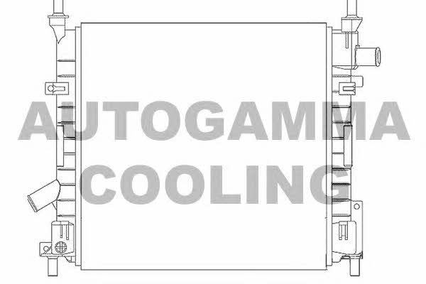 Autogamma 103428 Радиатор охлаждения двигателя 103428: Отличная цена - Купить в Польше на 2407.PL!