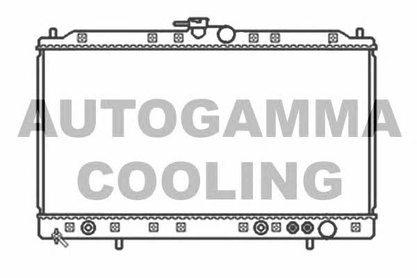Autogamma 103489 Радиатор охлаждения двигателя 103489: Отличная цена - Купить в Польше на 2407.PL!