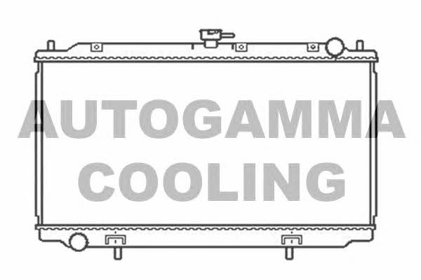 Autogamma 103502 Радиатор охлаждения двигателя 103502: Отличная цена - Купить в Польше на 2407.PL!