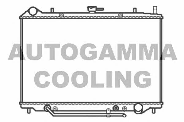 Autogamma 103516 Chłodnica, układ chłodzenia silnika 103516: Dobra cena w Polsce na 2407.PL - Kup Teraz!