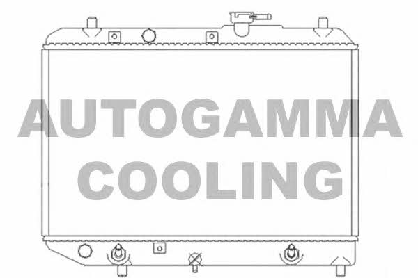 Autogamma 103517 Радіатор охолодження двигуна 103517: Купити у Польщі - Добра ціна на 2407.PL!