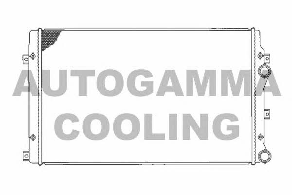 Autogamma 103565 Chłodnica, układ chłodzenia silnika 103565: Dobra cena w Polsce na 2407.PL - Kup Teraz!