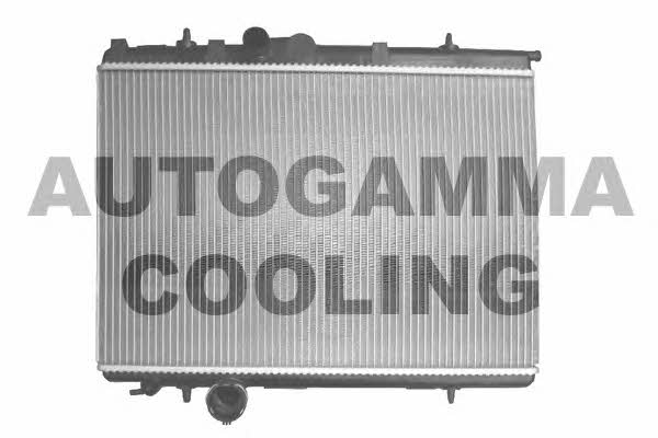 Autogamma 103567 Chłodnica, układ chłodzenia silnika 103567: Dobra cena w Polsce na 2407.PL - Kup Teraz!
