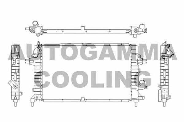 Autogamma 103631 Radiator, engine cooling 103631: Buy near me in Poland at 2407.PL - Good price!