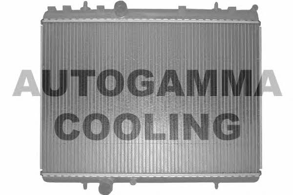 Autogamma 103640 Radiator, engine cooling 103640: Buy near me in Poland at 2407.PL - Good price!