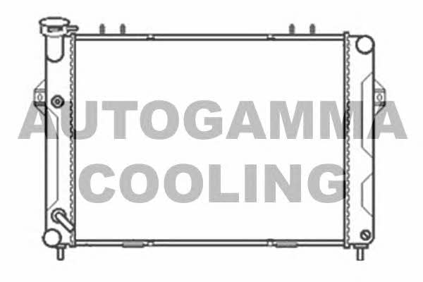 Autogamma 103665 Радиатор охлаждения двигателя 103665: Отличная цена - Купить в Польше на 2407.PL!