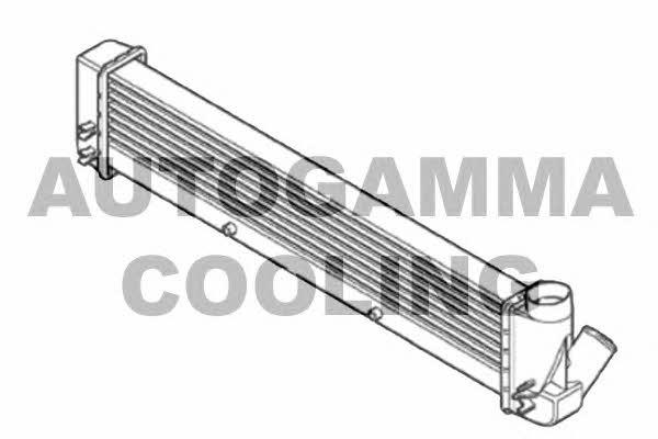 Autogamma 105686 Intercooler, charger 105686: Buy near me in Poland at 2407.PL - Good price!