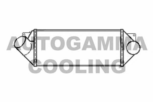 Autogamma 105690 Інтеркулер 105690: Приваблива ціна - Купити у Польщі на 2407.PL!
