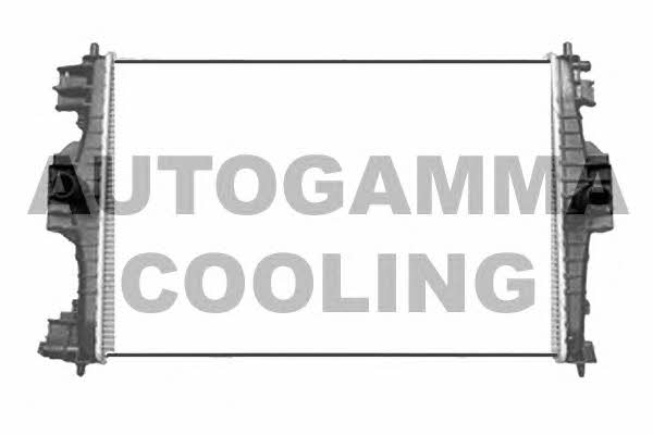 Autogamma 105771 Радиатор охлаждения двигателя 105771: Отличная цена - Купить в Польше на 2407.PL!