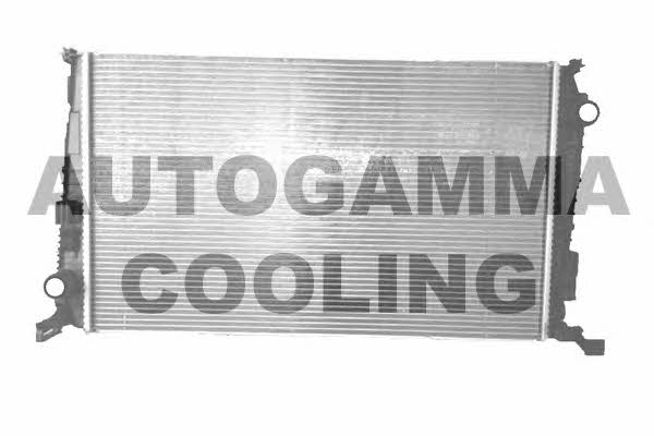 Autogamma 105780 Радиатор охлаждения двигателя 105780: Отличная цена - Купить в Польше на 2407.PL!
