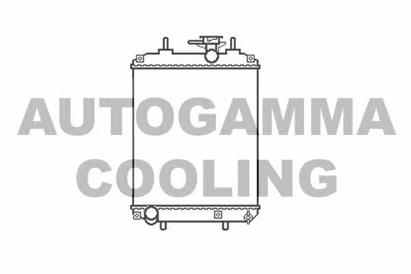Autogamma 105790 Радіатор охолодження двигуна 105790: Приваблива ціна - Купити у Польщі на 2407.PL!