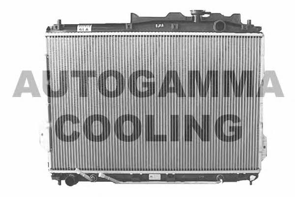 Autogamma 105796 Kühler motorkühlung 105796: Kaufen Sie zu einem guten Preis in Polen bei 2407.PL!
