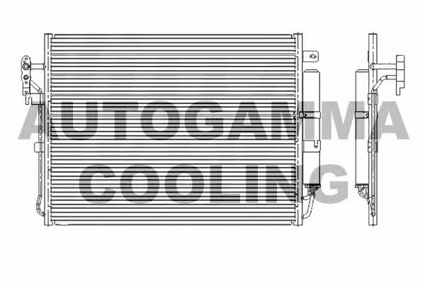 Autogamma 105862 Cooler Module 105862: Buy near me in Poland at 2407.PL - Good price!