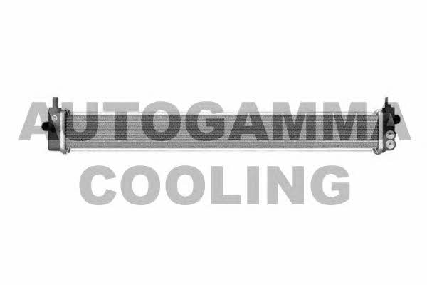 Autogamma 105923 Chłodnica, układ chłodzenia silnika 105923: Dobra cena w Polsce na 2407.PL - Kup Teraz!