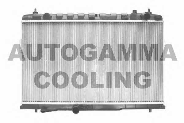 Autogamma 103755 Chłodnica, układ chłodzenia silnika 103755: Dobra cena w Polsce na 2407.PL - Kup Teraz!