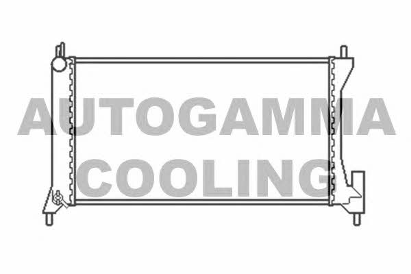 Autogamma 103760 Радіатор охолодження двигуна 103760: Купити у Польщі - Добра ціна на 2407.PL!