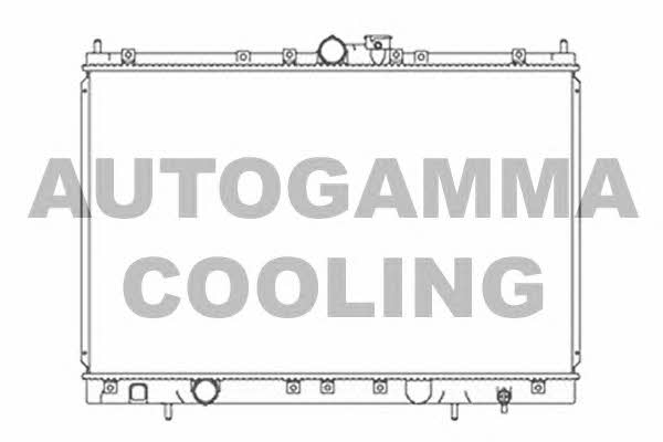 Autogamma 103865 Радіатор охолодження двигуна 103865: Купити у Польщі - Добра ціна на 2407.PL!