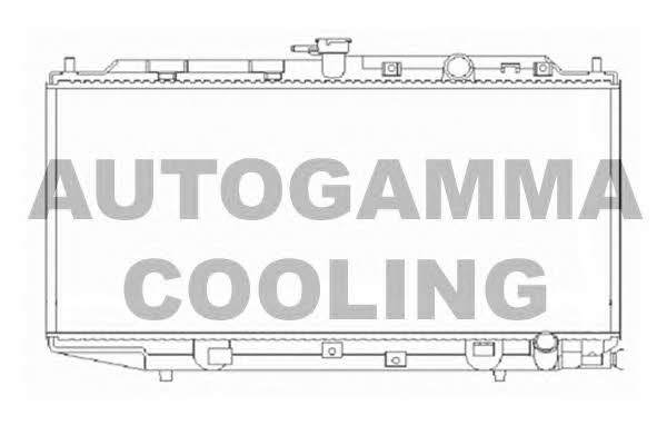 Autogamma 103925 Радіатор охолодження двигуна 103925: Приваблива ціна - Купити у Польщі на 2407.PL!