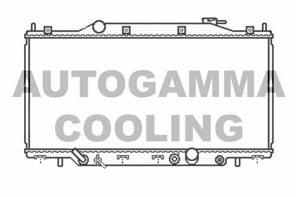 Autogamma 107022 Chłodnica, układ chłodzenia silnika 107022: Dobra cena w Polsce na 2407.PL - Kup Teraz!