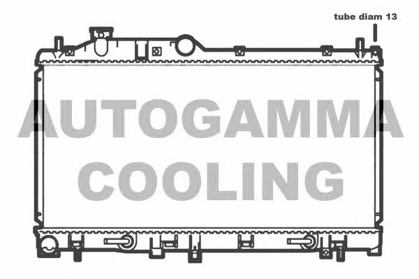 Autogamma 107025 Radiator, engine cooling 107025: Buy near me in Poland at 2407.PL - Good price!