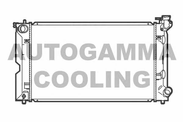 Autogamma 107057 Chłodnica, układ chłodzenia silnika 107057: Dobra cena w Polsce na 2407.PL - Kup Teraz!