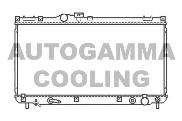 Autogamma 107063 Радиатор охлаждения двигателя 107063: Отличная цена - Купить в Польше на 2407.PL!
