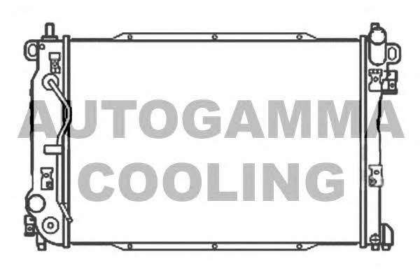 Autogamma 107205 Kühler motorkühlung 107205: Kaufen Sie zu einem guten Preis in Polen bei 2407.PL!