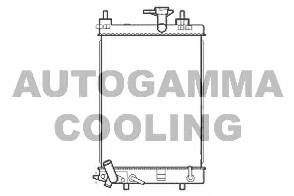 Autogamma 107206 Radiator, engine cooling 107206: Buy near me in Poland at 2407.PL - Good price!