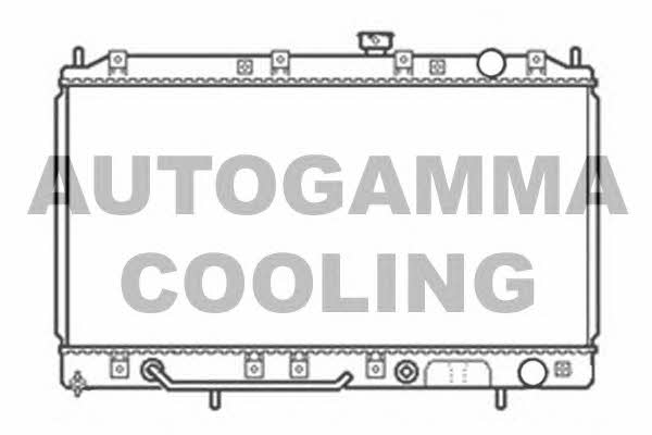 Autogamma 103962 Радиатор охлаждения двигателя 103962: Отличная цена - Купить в Польше на 2407.PL!