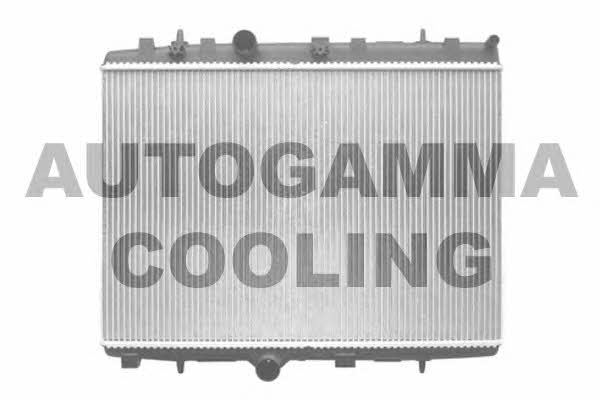 Autogamma 103971 Радіатор охолодження двигуна 103971: Купити у Польщі - Добра ціна на 2407.PL!