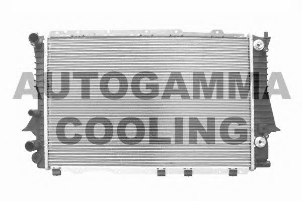 Autogamma 103976 Радиатор охлаждения двигателя 103976: Отличная цена - Купить в Польше на 2407.PL!
