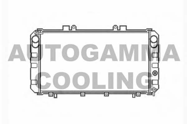 Autogamma 104022 Radiator, engine cooling 104022: Buy near me in Poland at 2407.PL - Good price!