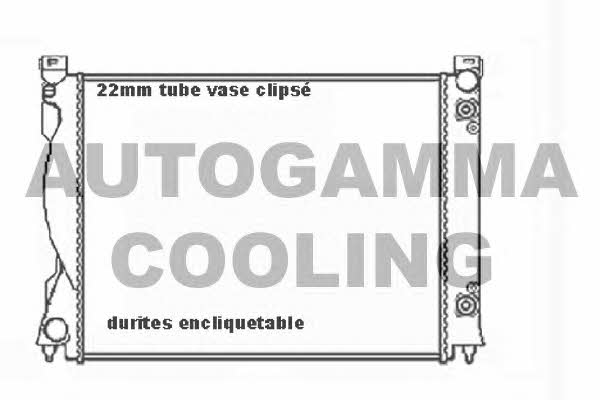 Autogamma 104030 Radiator, engine cooling 104030: Buy near me in Poland at 2407.PL - Good price!