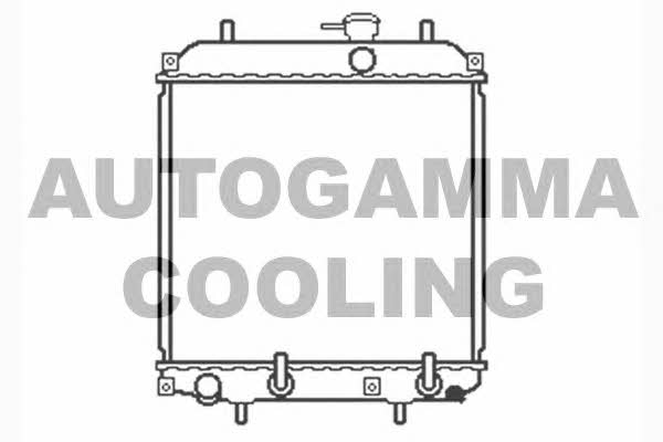 Autogamma 104042 Радиатор охлаждения двигателя 104042: Отличная цена - Купить в Польше на 2407.PL!