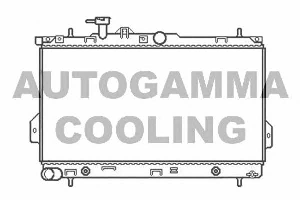 Autogamma 104067 Радиатор охлаждения двигателя 104067: Отличная цена - Купить в Польше на 2407.PL!
