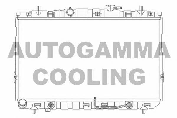 Autogamma 104077 Радіатор охолодження двигуна 104077: Приваблива ціна - Купити у Польщі на 2407.PL!