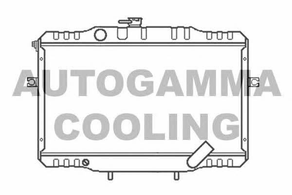 Autogamma 104080 Chłodnica, układ chłodzenia silnika 104080: Dobra cena w Polsce na 2407.PL - Kup Teraz!