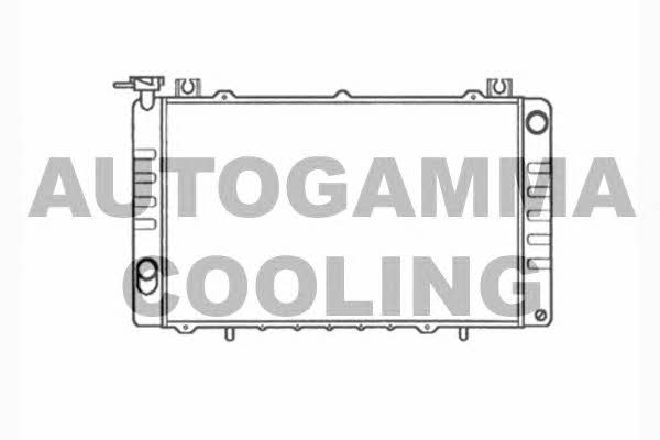 Autogamma 104101 Radiator, engine cooling 104101: Buy near me in Poland at 2407.PL - Good price!